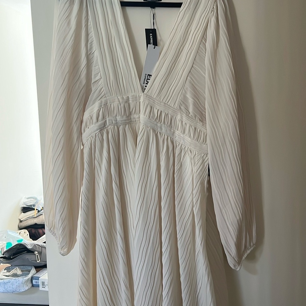 Express x Rachel Zoe Long Sleeve Dress
